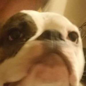 Meet your Posher, Sean